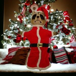 Vintage Raccoon Hand Puppet Santa Decorative Plush Hard Head Dan Upchurch Japan